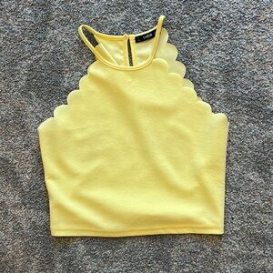 Yellow scallop tank